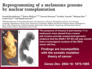 The presence of trisomy 8 and trisomy 11 in
embryonic mice cloned from a tumor
cell nucleus provide unequivocal genomic
evidence that the R545-1 NT ES cell was cloned
from a tumorigenic nucleus of the R545
tumor cell line.
Genes Dev. 2004 18: 1875-1885
Findings are incompatible
with the somatic mutation
theory of cancer
 