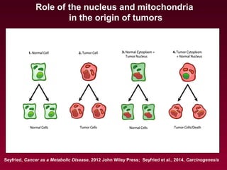 Role of the nucleus and mitochondria
in the origin of tumors
Seyfried, Cancer as a Metabolic Disease, 2012 John Wiley Press; Seyfried et al., 2014, Carcinogenesis
 