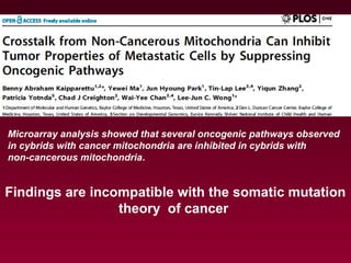 Microarray analysis showed that several oncogenic pathways observed
in cybrids with cancer mitochondria are inhibited in cybrids with
non-cancerous mitochondria.
Findings are incompatible with the somatic mutation
theory of cancer
 