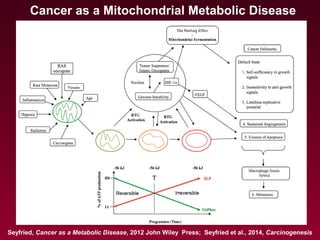 Cancer as a Mitochondrial Metabolic Disease
Seyfried, Cancer as a Metabolic Disease, 2012 John Wiley Press; Seyfried et al., 2014, Carcinogenesis
 