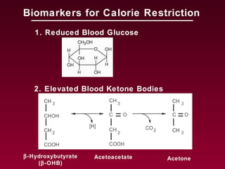β-Hydroxybutyrate
(β-OHB)
AcetoneAcetoacetate
2. Elevated Blood Ketone Bodies
Biomarkers for Calorie Restriction
1. Reduced Blood Glucose
 
