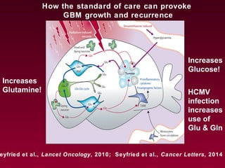 How the standard of care can provoke
GBM growth and recurrence
eyfried et al., Lancet Oncology, 2010; Seyfried et al., Cancer Letters, 2014
Increases
Glutamine!
Increases
Glucose!
HCMV
infection
increases
use of
Glu & Gln
 