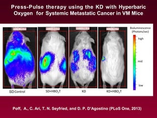 Press-Pulse therapy using the KD with Hyperbaric
Oxygen for Systemic Metastatic Cancer in VM Mice
Poff, A., C. Ari, T. N. Seyfried, and D. P. D’Agostino (PLoS One, 2013)
SD
 