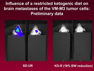 Influence of a restricted ketogenic diet on
brain metastases of the VM-M3 tumor cells:
Preliminary data
SD-UR KD-R (18% BW reduction)
 