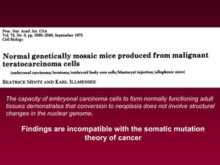 The capacity of embryonal carcinoma cells to form normally functioning adult
tissues demonstrates that conversion to neoplasia does not involve structural
changes in the nuclear genome.
Findings are incompatible with the somatic mutation
theory of cancer
 
