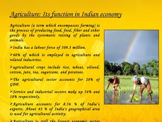 Agriculture: Its function in Indian economy Agriculture (a term which encompasses farming) is the process of producing food, feed, fiber and other goods by the systematic raising of plants and animals. India has a labour force of 509.3 million. 60% of which is employed in agriculture and related industries.  agricultural crops include rice, wheat, oilseed, cotton, jute, tea, sugarcane, and potatoes. The agricultural sector accounts for 28% of GDP. Service and industrial sectors make up 54% and 18% respectively.  Agriculture accounts for 8.56 % of India’s exports. About 43 % of India's geographical area is used for agricultural activity. Agriculture is still the largest economic sector and plays a significant role in the overall socio-economic development of India 