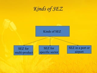 Kinds of SEZ  Kinds of SEZ  SEZ for multi-product SEZ for specific sector  SEZ in a port or airport 