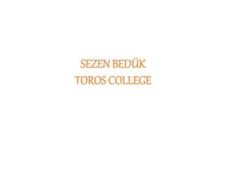 SEZEN BEDÜK
TOROS COLLEGE