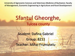 University of Agronomic Sciences and Veterinary Medicine of Bucharest, Faculty
of Management, Economic Engeneering in Agriculture and Rural Developement
Sfantul Gheorghe,
Tulcea county
Student: Dafina Gabriel
Group: 8211
Teacher: Mihai Frumuselu
 