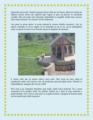 dispersăm prea mult. Suntem grupaţi uneori chiar pe trei benzi, adică trei căruţe pe
lăţimea acestui drum care aparent pare îngust şi greu de parcurs în asemenea
condiţii. Dar caii noştri sunt minunaţi, împodobiţi cu zurgălăi, funde roşii, ciucuri.
Sunt foarte frumoşi. Se ostenesc să fim împreună.
Am ajuns la prima oprire, la troiţa ridicată în cinstea sfinţilor mucenici. Aici ne
oprim, coborâm ca să ne rugăm, să ne închinăm şi, de ce nu, să ne astâmpărăm
setea cu apă de la acest izvor benefic aşezat la răspântie de drumuri.
E foarte cald, dar nu putem zăbovi prea mult. Mai avem de mers până la
următoarea oprire din Isaccea cam cât porţiunea parcursă până acum. Drumul se
îmbunătăţeşte, ajungem din nou pe asfalt.
Prin curţi şi pe marginea drumului sunt mulţi, mulţi cireşi încărcaţi. Nu e acum
momentul să le gustăm rodul. Ne grăbim. Înainte de a intra în oraş coborâm o
pantă abruptă. Aici viteza e mai mare ca şi graba noastră. Ajungem la biserica unde
au fost martirizaţi sfinţii mucenici.
 