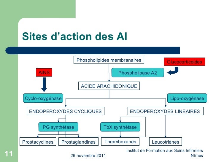 Sf antiinflammatoires 20112012