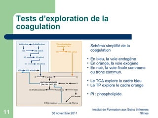 Tests d’exploration de la coagulation 30 novembre 2011 Institut de Formation aux Soins Infirmiers Nîmes Schéma simplifié de la coagulation En bleu, la voie endogène En orange, la voie exogène En noir, la voie finale commune ou tronc commun. Le TCA explore le cadre bleu Le TP explore le cadre orange Pl : phospholipide.  