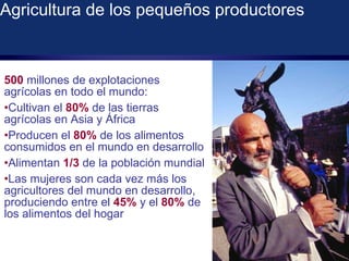 Marco Estratégico del FIDA 2011-2015