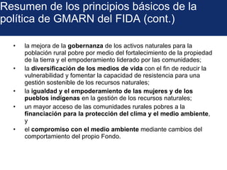 Marco Estratégico del FIDA 2011-2015