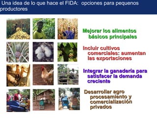 Marco Estratégico del FIDA 2011-2015