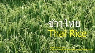 ข ้าวไทย
Thai Rice
พิสุทธิ์ ไพบูลย์รัตน์
ศูนย์เทคโนโลยีอิเล็กทรอนิกส์และคอมพิวเตอร์แห่งชาติ
 