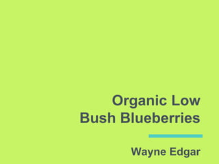 Organic Low
Bush Blueberries
Wayne Edgar
 
