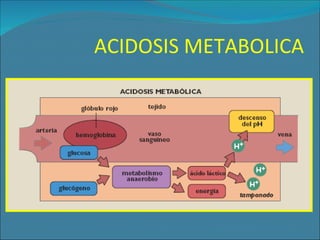 ACIDOSIS METABOLICA 