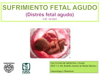 1
FACULTAD DE MEDCINA, UNAM.
HGZ 1 A «Dr. Rodolfo Antonio de Mucha Macías».
Ginecología y Obstetricia
 