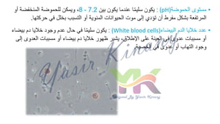 SFA.ppsx