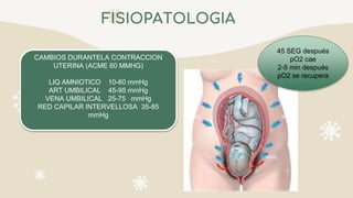 FISIOPATOLOGIA
CAMBIOS DURANTELA CONTRACCION
UTERINA (ACME 60 MMHG)
LIQ AMNIOTICO 10-60 mmHg
ART UMBILICAL 45-95 mmHg
VENA UMBILICAL 25-75 mmHg
RED CAPILAR INTERVELLOSA 35-85
mmHg
45 SEG después
pO2 cae
2-5 min después
pO2 se recupera
 