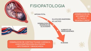 FISIOPATOLOGIA
HIPOXIA FETAL
GLUCOLISIS ANAEROBIA
AC LACTICO
DISMINUCION DE
RESERVAS DE
GLUCOGENO
AUMENTO DE
HIDROGENIONES
ACIDOSIS
DISMINUCION DE
MOVIMIENTOS
FETALES Y
RESPIRATORIOS
DISMINUCION DE CONTRACTILIDAD CARDIACA,
VASOCONSTRICCION-DILATACION
HIPOTENSION Y BRADICARDIA
 