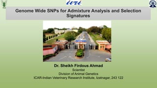 Genome Wide SNPs for Admixture Analysis and Selection
Signatures
Dr. Sheikh Firdous Ahmad
Scientist
Division of Animal Genetics
ICAR-Indian Veterinary Research Institute, Izatnagar, 243 122
 