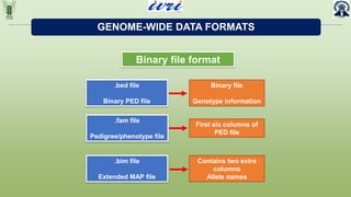 Genome Wide SNPs for Admixture Analysis and Selection Signatures | PPTX