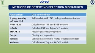 Detectruns Package Genome Wide SNPs for Admixture Analysis and Selection Signatures | PPTX