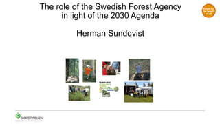 The role of the Swedish Forest Agency
in light of the 2030 Agenda
Herman Sundqvist
Skogens pärlor
 