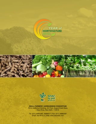 SFAC value chain-analysis