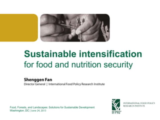 Click to edit Master title style
Sustainable intensification
for food and nutrition security
Food, Forests, and Landscapes: Solutions for Sustainable Development
Washington, DC
 