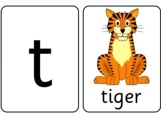 Flashcards and posters T t