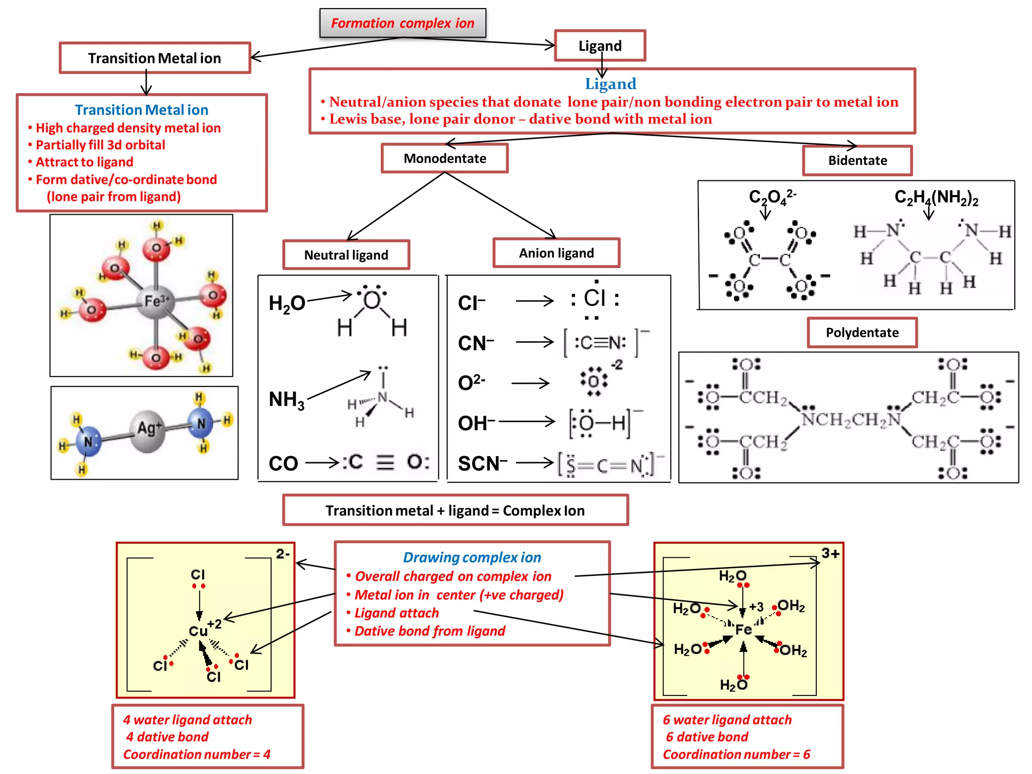 TransitionMetal ion
• High charged density metal ion
• Partially fill 3d orbital
• Attract to ligand
• Form dative/co-ordinatebond
(lone pair from ligand)
Ligand
• Neutral/anion species that donate lone pair/non bonding electron pair to metal ion
• Lewis base, lone pair donor – dative bond with metal ion
Ligand
+2
Formation complex ion
TransitionMetal ion
Neutral ligand Anion ligand
H2O
NH3
CO
CI–
CN–
O2-
OH–
SCN–
: CI :
:.
Monodentate Bidentate
Polydentate
C2O4
2- C2H4(NH2)2
Drawingcomplex ion
• Overall charged on complex ion
• Metal ion in center (+ve charged)
• Ligand attach
• Dative bond from ligand
+3
4 water ligand attach
4 dative bond
Coordination number= 4
6 water ligand attach
6 dative bond
Coordination number= 6
Transitionmetal + ligand= Complex Ion
 