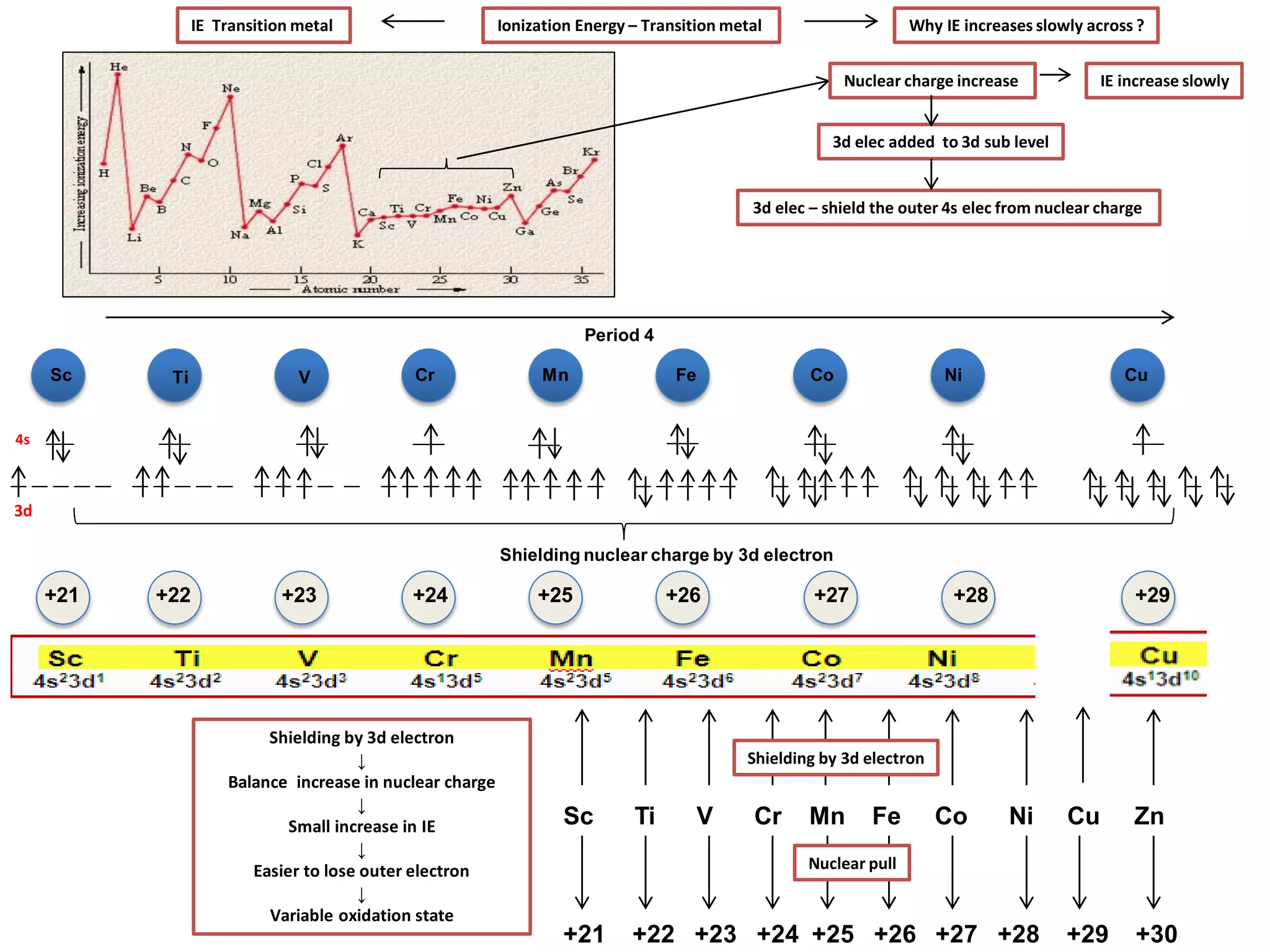 3d
Nuclear charge increase IE increase slowly
3d elec added to 3d sub level
3d elec – shield the outer 4s elec from nuclear charge
Ionization Energy – Transition metal Why IE increases slowly across ?IE Transition metal
Sc Ti V Cr Mn Fe Co
Period 4
Ni Cu
Shielding nuclear charge by 3d electron
+21 +22 +23 +24 +25 +26 +27 +28 +29
4s
Sc Ti V Cr Mn Fe Co Ni Cu Zn
+21 +22 +23 +24 +25 +26 +27 +28 +29 +30
Nuclear pull
Shielding by 3d electron
Shielding by 3d electron
↓
Balance increase in nuclear charge
↓
Small increase in IE
↓
Easier to lose outer electron
↓
Variable oxidation state
 