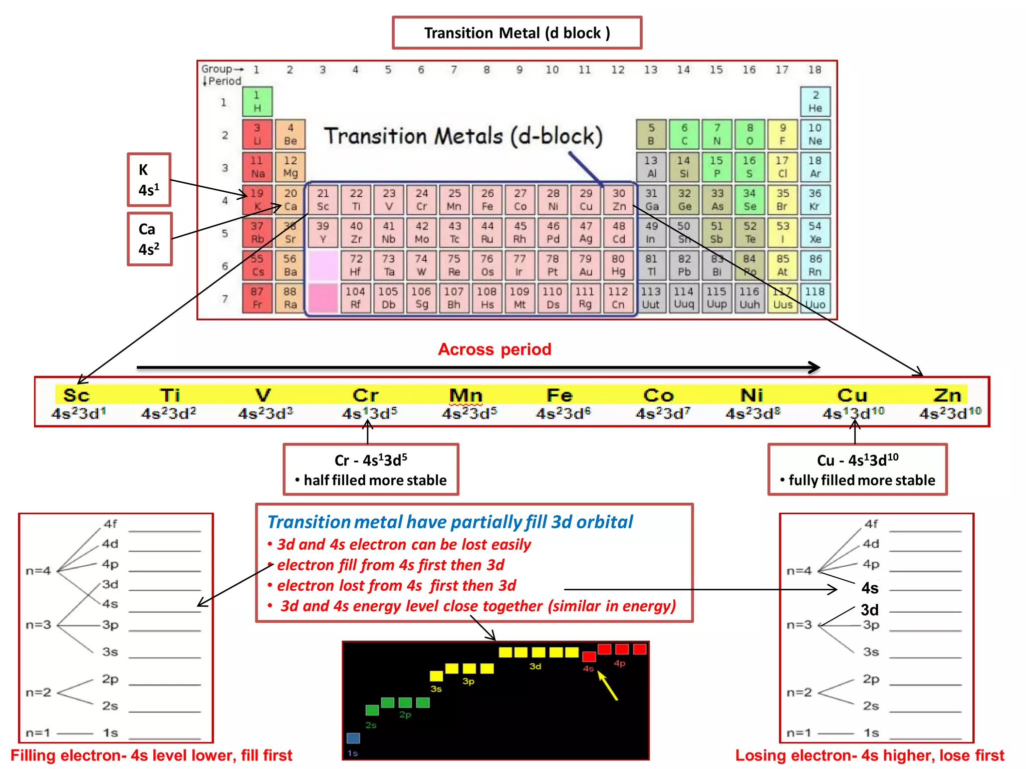 Transition Metal (d block )
Across period
Cr - 4s13d5
• half filled more stable
Cu - 4s13d10
• fully filledmore stable
Ca
4s2
K
4s1
Transitionmetal have partially fill 3d orbital
• 3d and 4s electron can be lost easily
• electron fill from 4s first then 3d
• electron lost from 4s first then 3d
• 3d and 4s energy level close together (similar in energy)
Filling electron- 4s level lower, fill first Losing electron- 4s higher, lose first
3d
4s
 