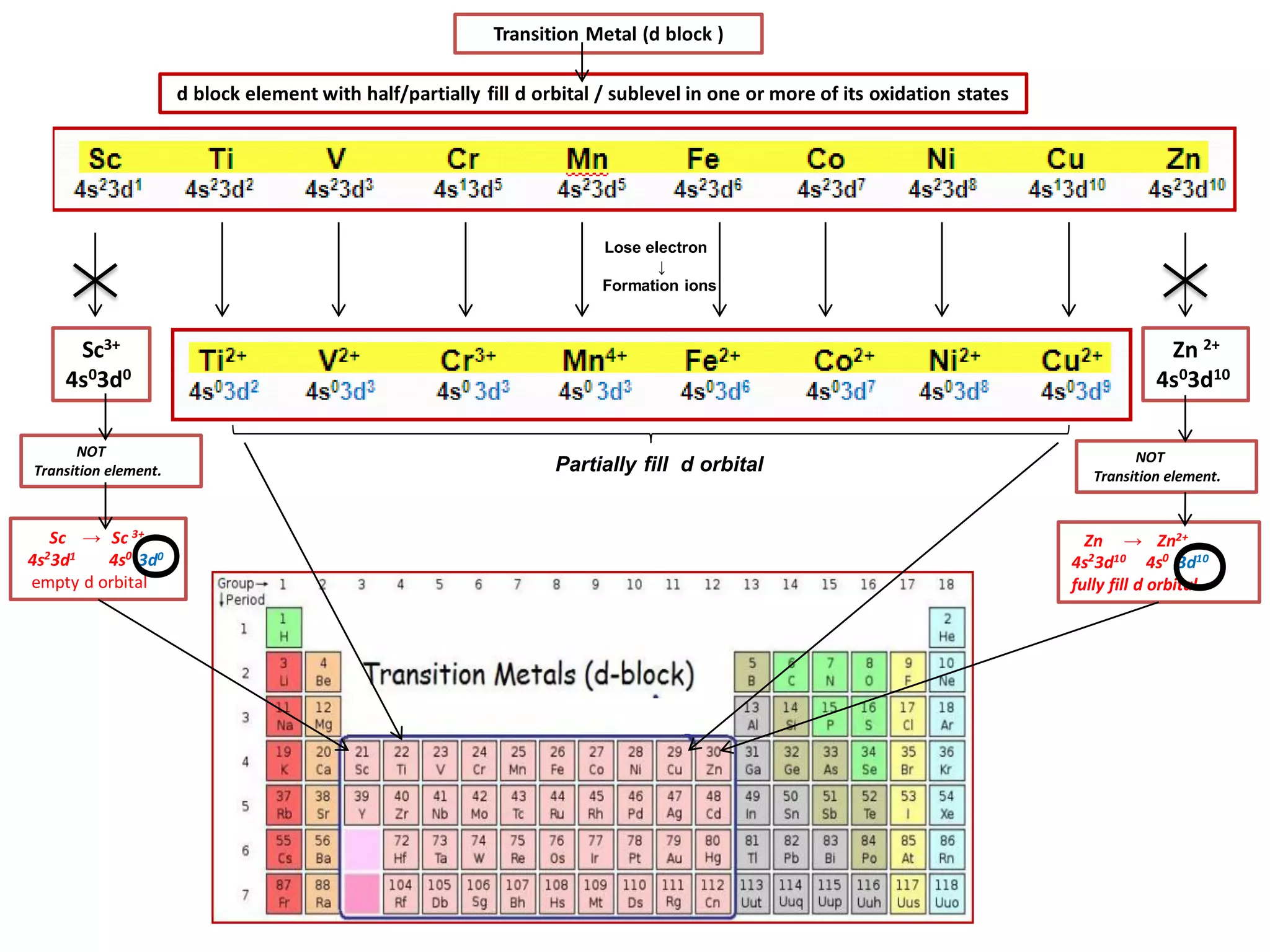 d block element with half/partially fill d orbital / sublevel in one or more of its oxidation states
Partially fill d orbital
Lose electron
↓
Formation ions
Sc3+
4s03d0
Zn 2+
4s03d10
Zn → Zn2+
4s2
3d10 4s0
3d10
fully fill d orbital
Sc → Sc 3+
4s2
3d1 4s0
3d0
empty d orbital
Transition Metal (d block )
NOT
Transition element.
NOT
Transition element.
О
О
 