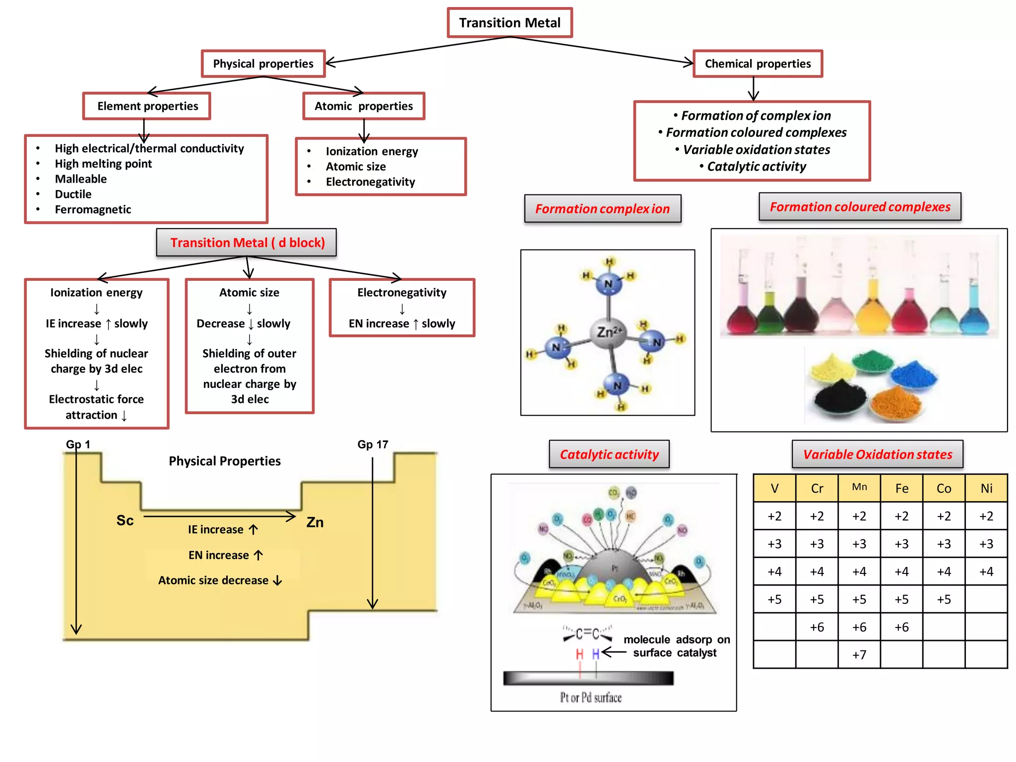 Transition Metal
Physical properties Chemical properties
Element properties Atomic properties
• High electrical/thermal conductivity
• High melting point
• Malleable
• Ductile
• Ferromagnetic
• Ionization energy
• Atomic size
• Electronegativity
Transition Metal ( d block)
Gp 1 Gp 17
Sc
Ionization energy
↓
IE increase ↑ slowly
↓
Shielding of nuclear
charge by 3d elec
↓
Electrostatic force
attraction ↓
Atomic size
↓
Decrease ↓ slowly
↓
Shielding of outer
electron from
nuclear charge by
3d elec
Electronegativity
↓
EN increase ↑ slowly
Physical Properties
Zn
EN increase ↑
Atomic size decrease ↓
IE increase ↑
• Formation of complexion
• Formation coloured complexes
• Variable oxidation states
• Catalytic activity
Formation complexion Formation coloured complexes
Catalytic activity Variable Oxidation states
molecule adsorp on
surface catalyst
V Cr Mn Fe Co Ni
+2 +2 +2 +2 +2 +2
+3 +3 +3 +3 +3 +3
+4 +4 +4 +4 +4 +4
+5 +5 +5 +5 +5
+6 +6 +6
+7
 