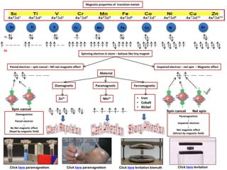 IB Chemistry on Properties of Transition Metal and Magnetism | PDF