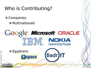 Who is Contributing?
                               Companies
                                 Multinationals




                                 Egyptians
Layout by orngjce223, CC-BY
 