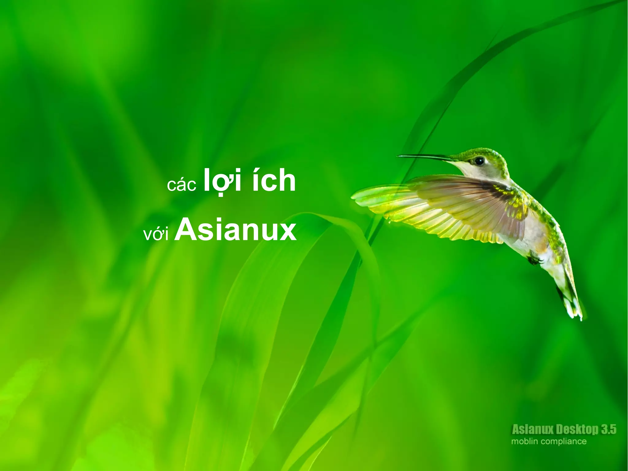 các lợi ích
với Asianux
 