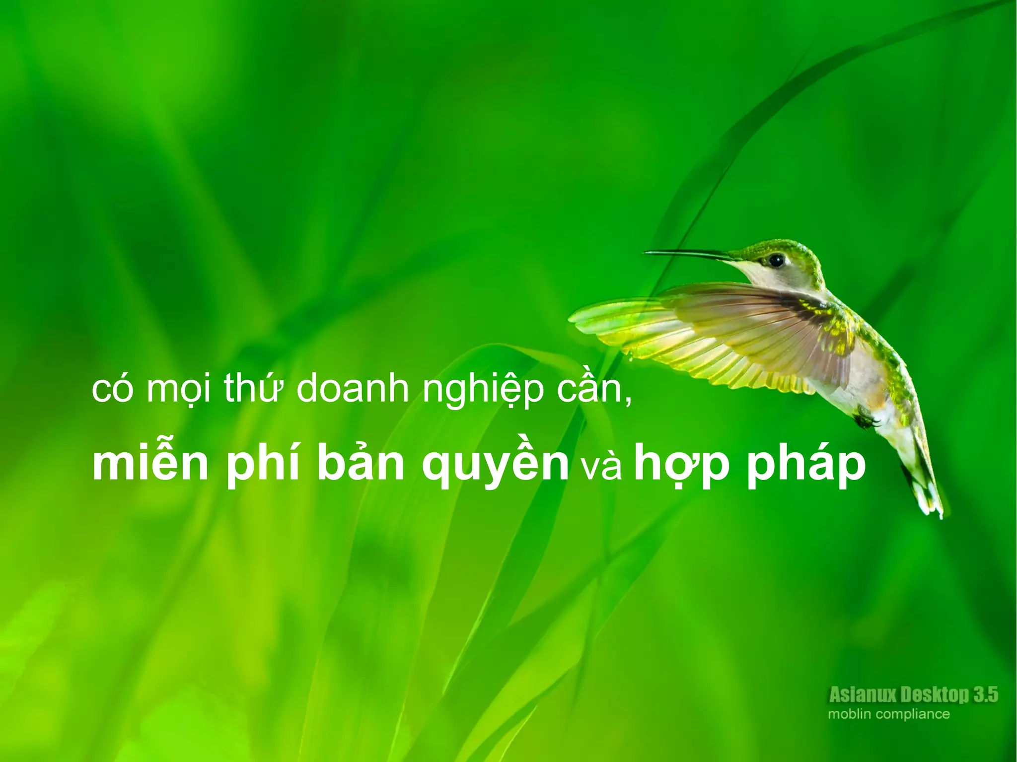 có mọi thứ doanh nghiệp cần,
miễn phí bản quyền và hợp pháp
 