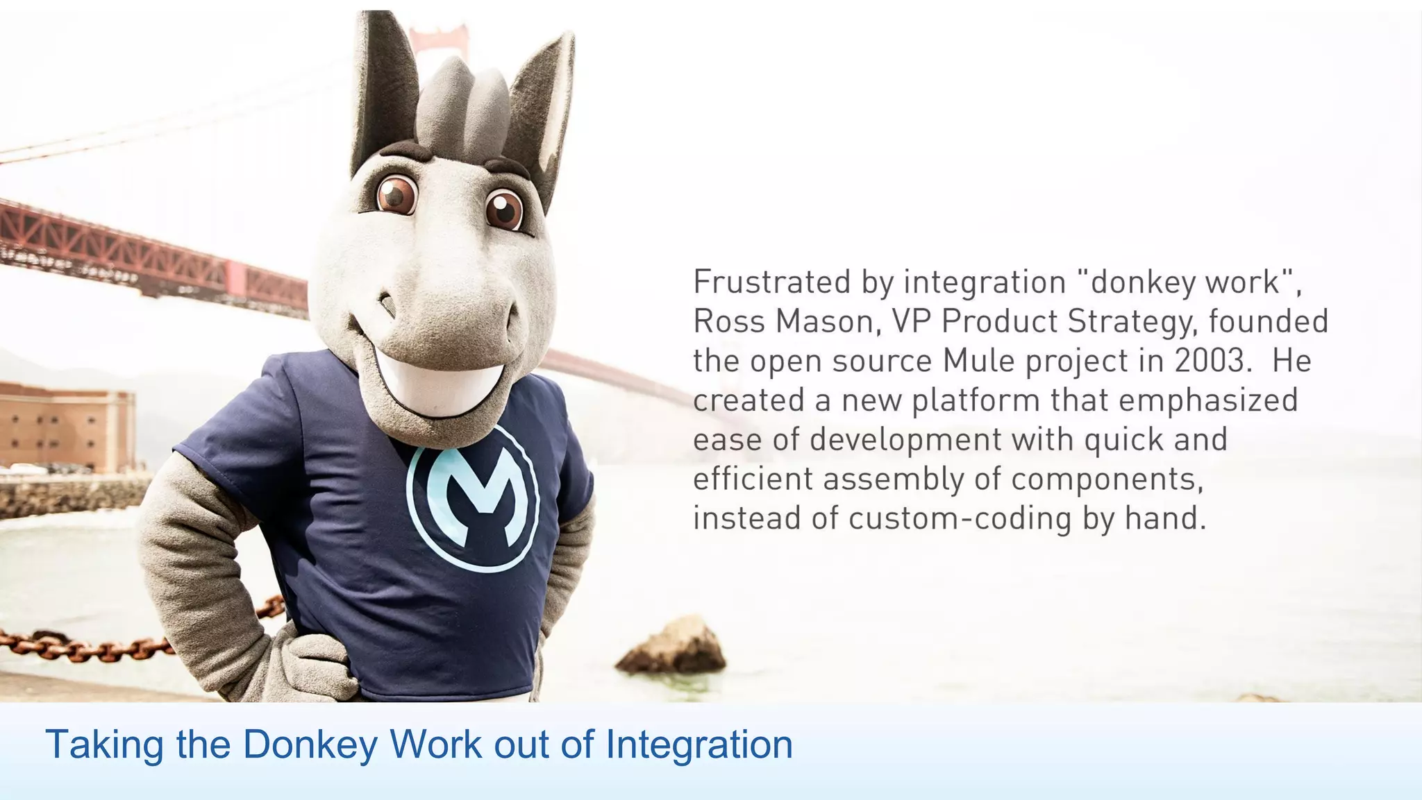 Taking the Donkey Work out of Integration
 