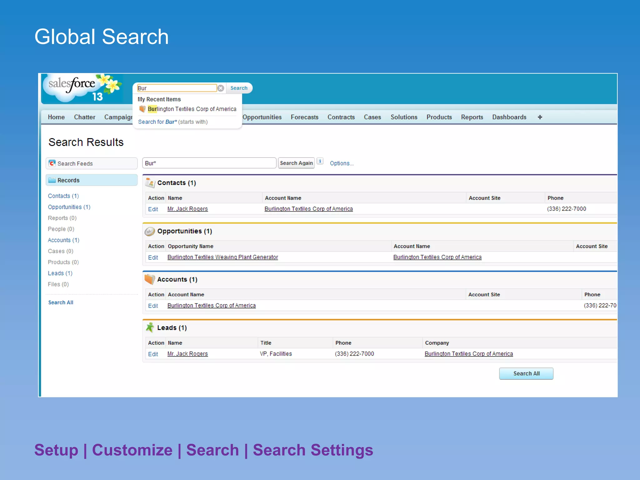 Global Search
Setup | Customize | Search | Search Settings
 