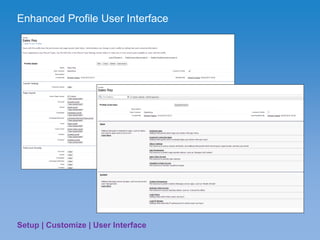 SFDC User Interface | PDF