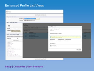 SFDC User Interface | PDF