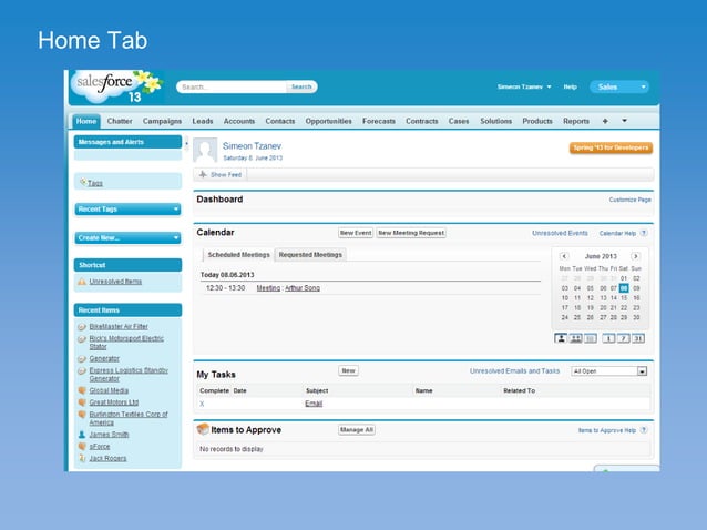 SFDC User Interface | PPT