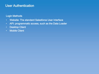 SFDC User Setup | PDF