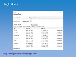 SFDC User Setup | PDF
