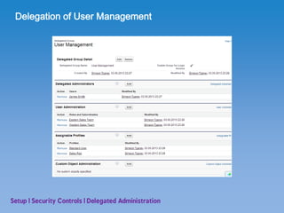 SFDC User Setup | PDF